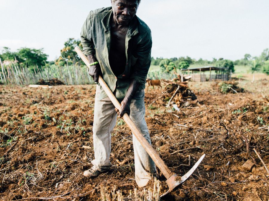 Working the land